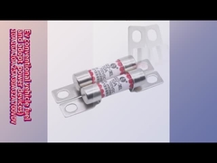 Electric Vehicle Fuse