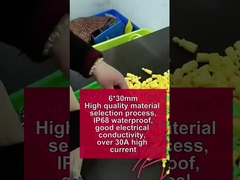 High quality material selection process, IP68 waterproof, 6*30 wire harness over 30A high current ny