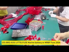 Ship and car battery fuse