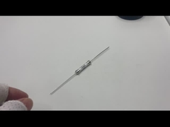 Ceramic Automotive Fuses