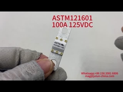 Ceramic Vehicle Fuses 100A 125VDC 20KA Breaking  Capacity FUSE