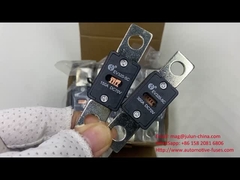 Electric Vehicle Fuse