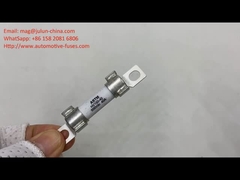 Electric Vehicle Fuse