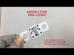 Electric Vehicle Fuse