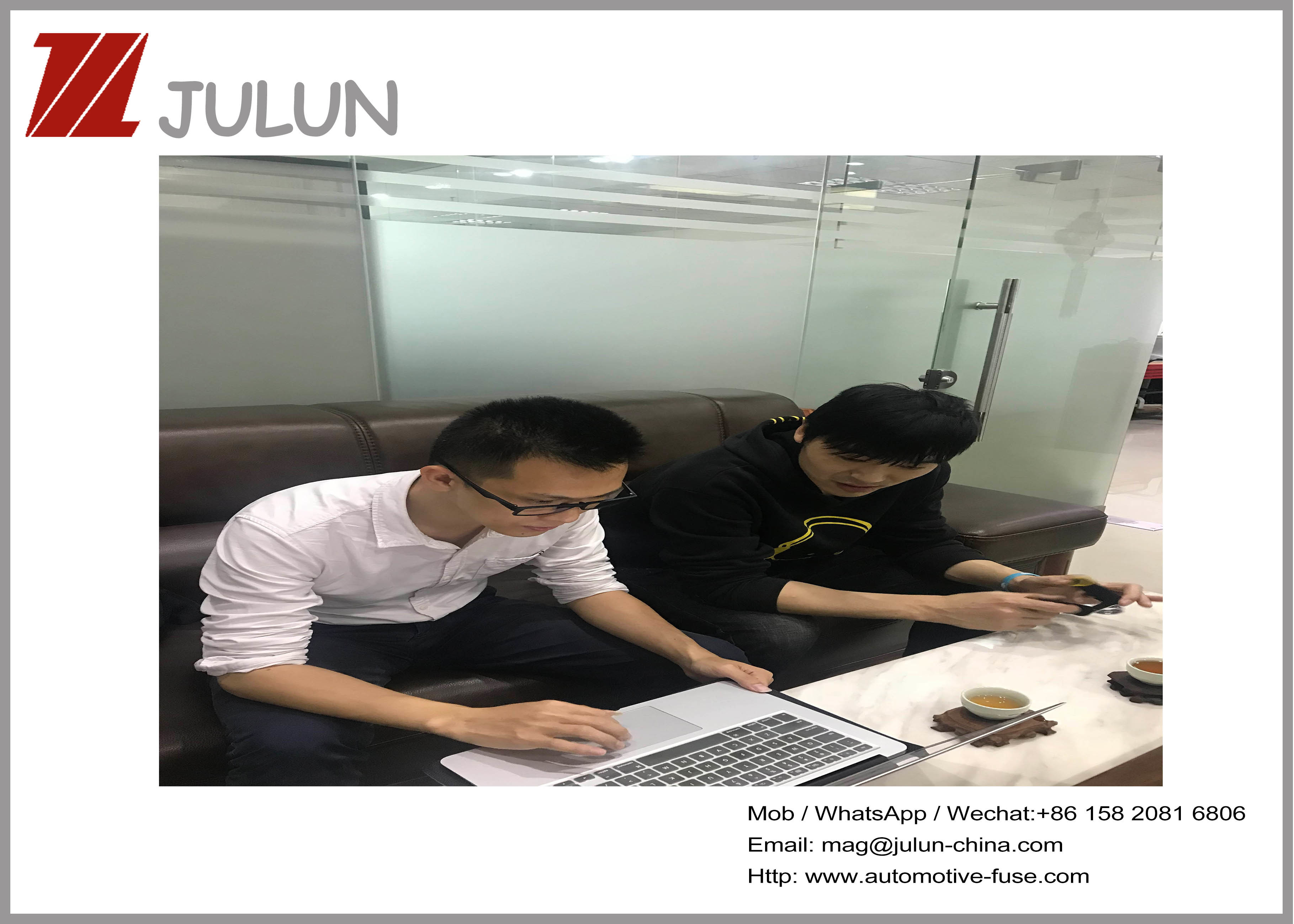 China dongguan Julun  electronics co.,ltd company profile