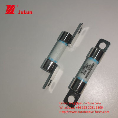 Short Circuit Protection Electric Vehicle Fuse 40A With Breaking Capacity 3KA Automotive