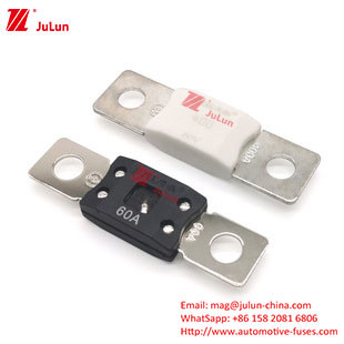 30A-500A Small Medium Large Fork Bolt Car Fuse  Small Medium Large
