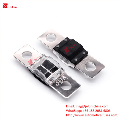 30A-500A Small Medium Large Fork Bolt Car Fuse  Small Medium Large