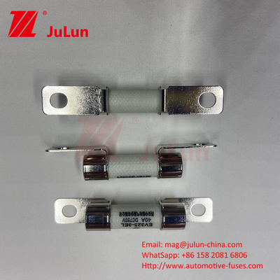 Protection EV Electric Vehicle Fuse Power Conversion 15A 30A 25A 750VDC 10x38 EV FUSE