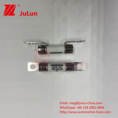 Ceramic Automotive 10A 15A 750VDC  Fuses Ceramic Vehicle Fuses 25A 30A 40A 50A Ues For EV Car Charger
