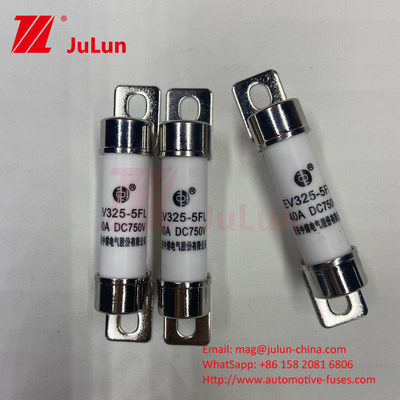 10A 30A 50A 750VDC EV Fuse Hey Are For EV Traction System, 15A 20A Power Conversion