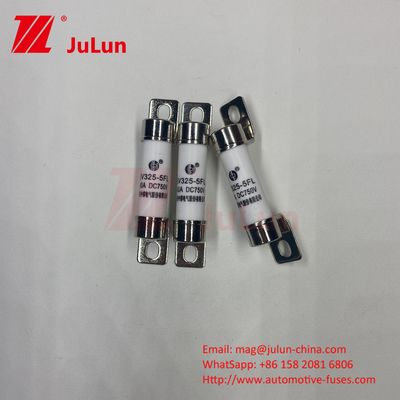 EV Fuse Boxed Embedded For Electric Vehicle Traction Systems 750VDC 25A 30A 40A 50A 14*51 Ues For EV325 Car Charger