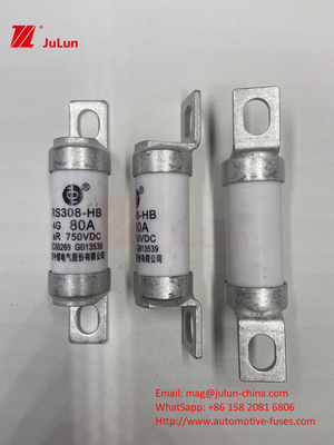 EV Electric Vehicle Fuse For DC750V FUSE DC750V 10A 15A 20A 25A 30A For Automobile Application RS308