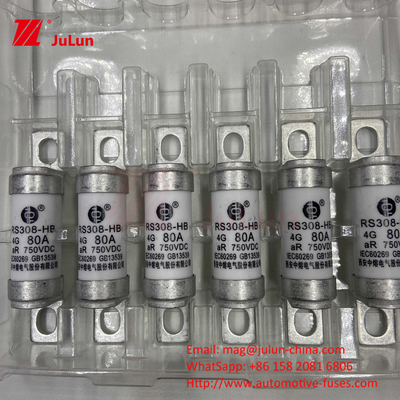 EV Electric Vehicle Fuse For DC750V FUSE DC750V 10A 15A 20A 25A 30A For Automobile Application RS308