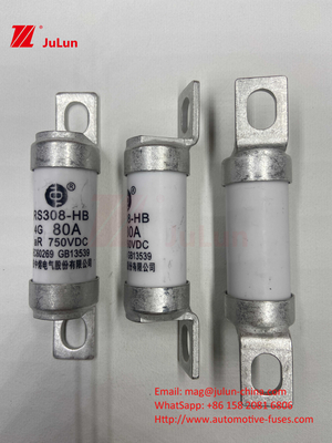 EV Fuse 100A Features Bolted Construction Specifically 750VDC 10A 25A 50A 63A