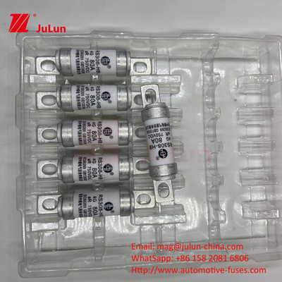 Electric Vehicle Fuse RS308 DC750V 10A 15A 20A With Excellent Resistant To Vibration 63A