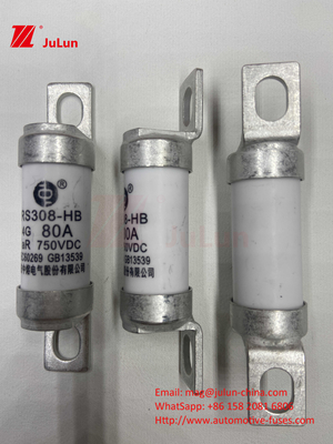 Electric Vehicle Fuse RS308 DC750V 10A 15A 20A With Excellent Resistant To Vibration 63A