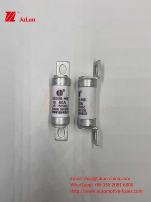 EV RS308 Fuse Mechanical Shock 25A 30A 40A 50A  Ceramic Copper Rated Voltage DC750V  Home Ev Charger For Electric Car