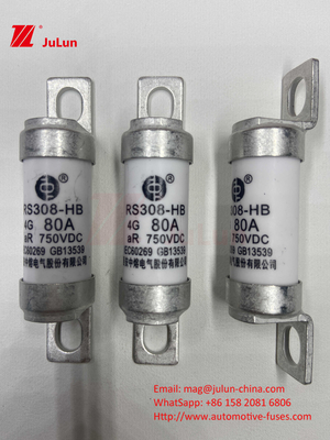 EV RS308 Fuse Mechanical Shock 25A 30A 40A 50A  Ceramic Copper Rated Voltage DC750V  Home Ev Charger For Electric Car