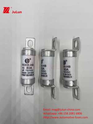 M6 EV Fuse With Bolted Ceramic EV Charger 750VDC Fuse Chemical Load And High Temperature 40A 50A RS308