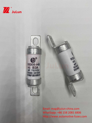 M6 Bolted EV Fuse 750V 80A10A 30A 50A 750VDC EV Fuse Hey Are Suitable For EV Traction System, Power Conversion