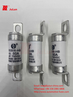 M6 Bolted EV Fuse 750V 80A10A 30A 50A 750VDC EV Fuse Hey Are Suitable For EV Traction System, Power Conversion