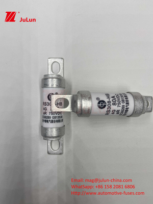 Power Conversion 63A 15A 30A 25A 100A 50A EV FUSEDC750V Rated Voltage Electric Vehicle Bolted Fuse
