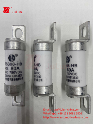 Power Conversion 63A 15A 30A 25A 100A 50A EV FUSEDC750V Rated Voltage Electric Vehicle Bolted Fuse