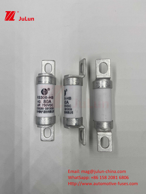 Electric Vehicle Fuse For Traction System Energy Storage And  Olted 750VDC 25A 30A 40A 50A  For RS308 HB EV