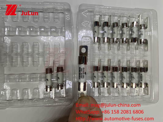 Electric Vehicle  FUSE Environment Reliability Conform To ISO8820, JASO D622 And GB/T31465 30A 40A 50A 80A 750VDC