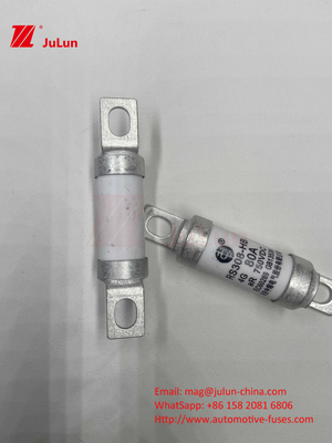 750VDC Ceramic Automotive Fuses 14.	Ceramic Tube 20x46mm 15A 40A 50A RS308 HB G FUSE 750VDC EV325 100A