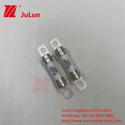Electric vehicle Excellent DC Performance 30A 20A 500VDC Fuse