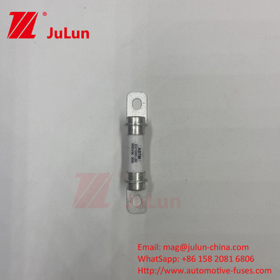 Electric Vehicle Fuse 500VDC Reliability Performance Design Refer To ISO8820-8&amp;GB/T31465.6