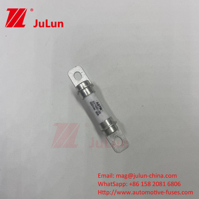 500VDC 20A 30A 40A 50A Pure Electric Vehicle Hybrid Car Fuse