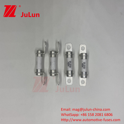 500VDC 20A 30A 40A 50A Pure Electric Vehicle Hybrid Car Fuse
