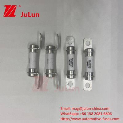 50A 30A 500DV Excellent DC Breaking Capability Fuse 5A Truck EV Fuse