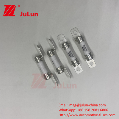 5A 10A 30A 50A 30A 500DV Pure Electric Vehicle Force System Hybrid Vehicle Fuse