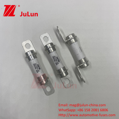 5A 10A 30A 50A 30A 500DV Pure Electric Vehicle Force System Hybrid Vehicle Fuse
