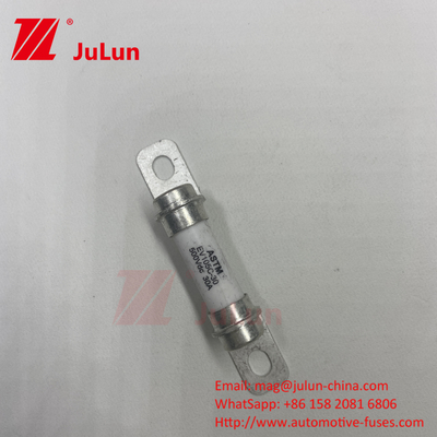 Hybrid Car Fuse 20A 30A 40A Energy Storage System Electric Drive