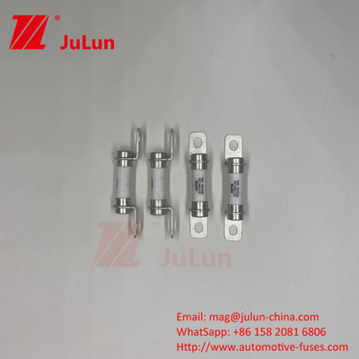 Pure Electric Vehicle 5A 10A 15A 20A 30A Force System Hybrid Electric Vehicle Fuse 500VDC