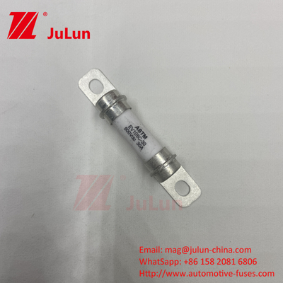 50A 40A 30A Pure Electric Vehicle Fuse Electric Vehicle Power Conversion System With Bolted M6