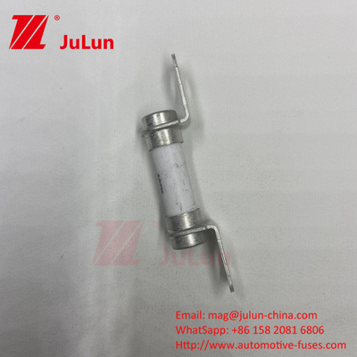 Ceramic Tube 20A30A40A Electric Vehicle Fuse 500VDC Bolt M6 Bolt