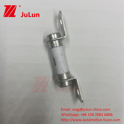 Electric Vehicle Fuse 500VDC Bolt M6 Bolt 50A Excellent DC Breaking Capability Fuse