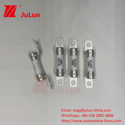 Electric Vehicle Fuse DC Fuse 500VDC Battery Energy Storage System 30A