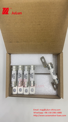 M6 Bolt Type Power Distribution Fuse For The Reliability Performance Of The 40A 50A Fuse Of The Battery Energy Storage S