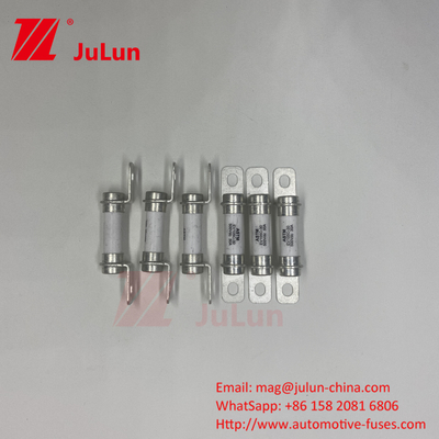 Excellent DC Breaking Capability For Hybrid Vehicles And Battery Energy Storage Systems Fuse 15A 20A 30A
