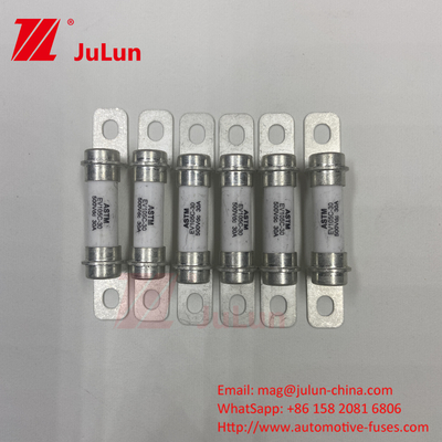 Automobile Application Electric Vehicle Fuse Hybrid Car 15A 500VDC Superior DC Breaking Capability Fuse