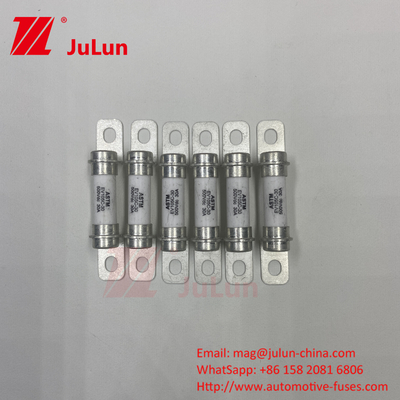 Fuse Excellent DC Breaking Capacity 20A500VDC Pure Electric Vehicle