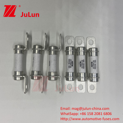 Fuse Excellent DC Breaking Capacity 20A500VDC Pure Electric Vehicle