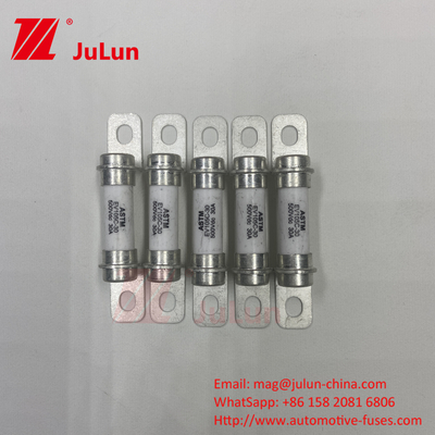 30A Hybrid Vehicle 500VDC Fuse Bolt M6 DC Automotive Devices And Equipment Short Circuit And Backu